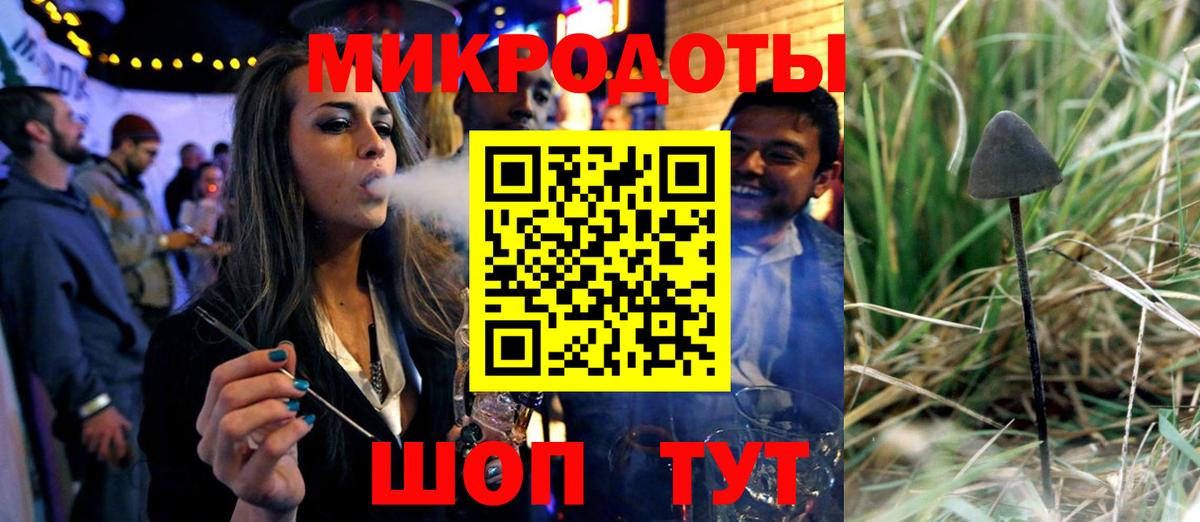 Балахна  Псилоцибиновые грибы Cubensis  Вход с VPN  Псилоцибиновые грибы мицелий 